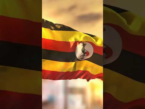 Bitcoin.com Exchange Uganda: Platform Perdagangan Kripto Aman dan Mudah!