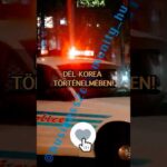 img_125222_ez-a-legnagyobb-atveres-del-korea-tortenelmeben-scam-korea-crypto-youtubers.jpg