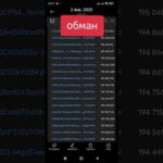 img_125696_memeland-scam-blum-crypto.jpg