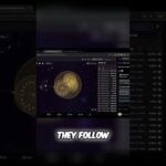 Hayley Welsh's Hawk Tuah Crypto Scam Raising Red flags img_126893_hayley-welsh-39-s-hawk-tuah-crypto-scam-raising-red-flags.jpg