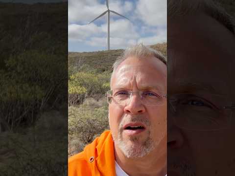 Erneuerbare Energie auf Teneriffa ☀️ Bitcoin Mining als Ertrag für die Landwirtschaft?