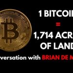 img_128105_is-the-bitcoin-bull-market-over-conversation-with-brian-de-mint.jpg