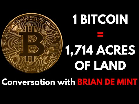Is the Bitcoin bull market over? Conversation with Brian De Mint