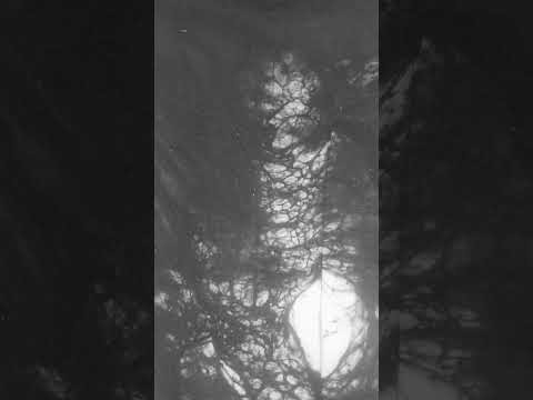 Bitcoin Scam abad 21