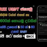 Earn Money Online Sinhala | Okx Exchange New User Bonus | Part-Time Job Sinhala | IP Token Campaign img_128369_earn-money-online-sinhala-okx-exchange-new-user-bonus-part-time-job-sinhala-ip-token-campaign.jpg