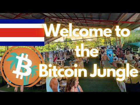 Bitcoin Jungle needs buyer adoption, not merchant adoption - Costa Rica