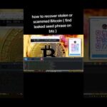 img_128994_how-to-recover-stolen-or-scammed-bitcoin-find-leaked-seed-phrase-on-btc.jpg