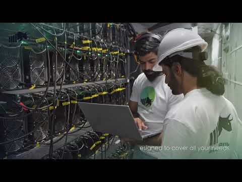 Billion Bison bitcoin mining hosting services