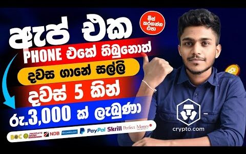 online job cryptoCom sinhala – online job cryptoCom – E money sinhala