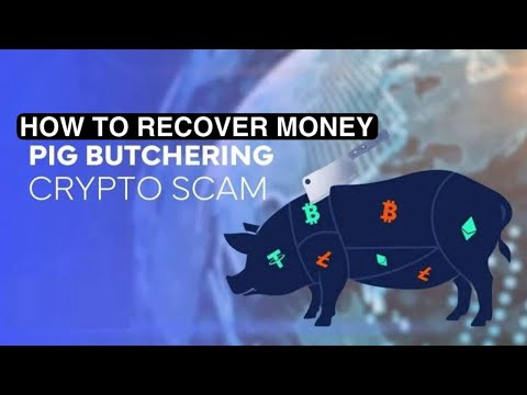 How to Get your Money back from a Pig Butchering Crypto Scam | Pig Butchering  Scam Recovery