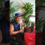 Theatric In The Studio: How to make money online in 2025 img_129850_theatric-in-the-studio-how-to-make-money-online-in-2025.jpg