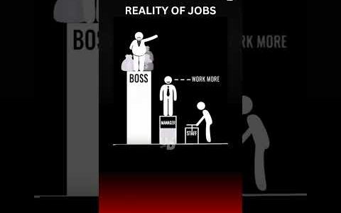 REALITY OF JOBS #Success #Motivation #NeverGiveUp