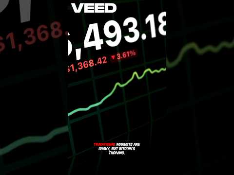 Bitcoin Soars Past $97K Despite Weak Jobs Report! | Crypto Lord.