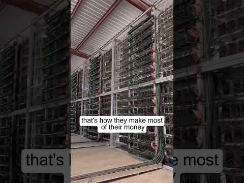 What Getting Let Go from a Crypto Job Taught Me About the Industry