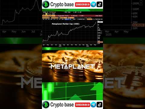 Metaplanet's capitalization has grown 340 times