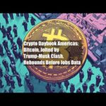 img_134016_crypto-daybook-americas-bitcoin-jolted-by-trump-musk-clash-rebounds-before-jobs-data.jpg