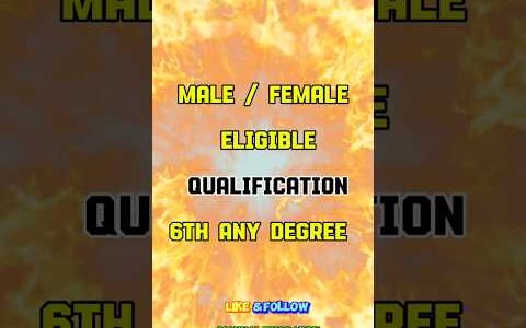 NEW JOB VACANCY  FRESHERS நிரந்தர வேலை வாய்ப்புக்கான அறிவிப்பு  #jobs #career #hiring #jobsearch