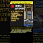 img_134524_crash-warning-shoppers-retreat-jobs-wobble-crypto-lands.jpg