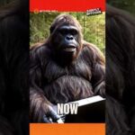 img_134728_buying-bitcoin-sasquatch-39-s-hilarious-crypto-adventure.jpg