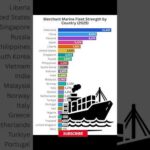img_134770_top-25-merchant-marine-powers-in-2025-merchant-fleet.jpg