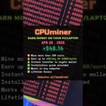 img_135030_day-38-how-i-make-passive-income-with-crypto-mining-cpuminer.jpg