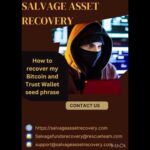 img_135048_consult-a-hacker-for-bitcoin-scam-recovery-hire-salvage-asset-recovery.jpg