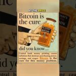 img_135054_everyone-called-bitcoin-a-scam-for-years-now-it-s-the-cure-they-ignored-crypto-money.jpg
