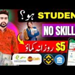 img_135140_online-student-jobs-in-pakistan-how-to-earn-money-online-without-investment-in-pakistan-2025.jpg