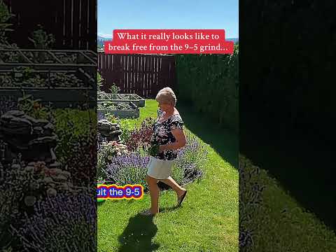 Make Money Online as a Beginner-Done-for-you system. Free to check out. #howtomakemoneyonline