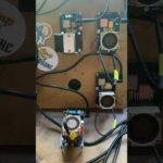 img_135672_4-bitaxe-miners-solo-mining-bitcoin.jpg