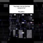 img_135956_you-are-not-a-traders-if-your-gallery-doesn-39-t-like-this-trading-trader-bitcoin-shorts.jpg
