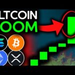 img_136192_altcoin-season-is-heating-up-urgent-update-bitcoin-news-today-ethereum-solana-xrp-amp-chainlink.jpg