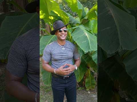 Theatric Gardening: How to make money online by 2026