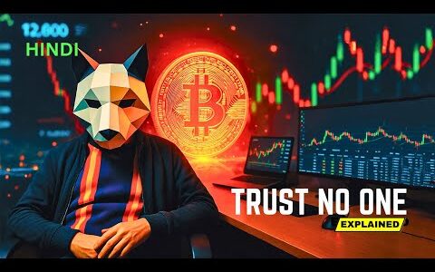 Trust No One (2022) Movie Explained | Bitcoin Crypto Currency Scam Recap In Hindi