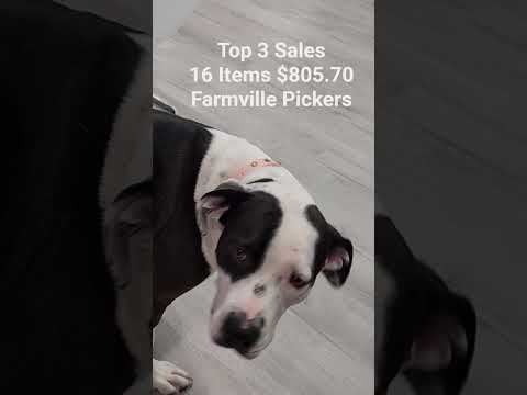 16 Items $805.70 #reseller #ebay #fyp #thrifting #makemoneyonline #selfemployed