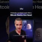img_136985_el-salvador-s-bold-crypto-move.jpg