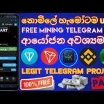 img_137266_free-usdt-mining-2025-online-jobs-at-home-how-to-make-money-online-emoney-2025.jpg