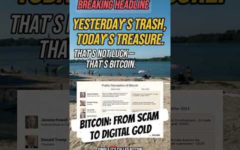 Bitcoin: From Scam to Digital Gold