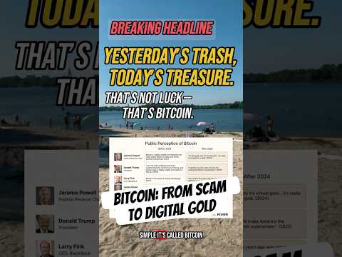 Bitcoin: From Scam to Digital Gold