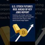 img_137682_u-s-stock-futures-rise-ahead-of-key-jobs-report-gold-slips-bitcoin-below-111k-shorts.jpg
