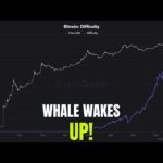 img_137893_bitcoin-39-s-gold-link-snaps-mining-difficulty-soars-amp-whale-wakes-up.jpg