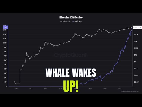Bitcoin's Gold Link SNAPS? Mining Difficulty SOARS & Whale Wakes Up!