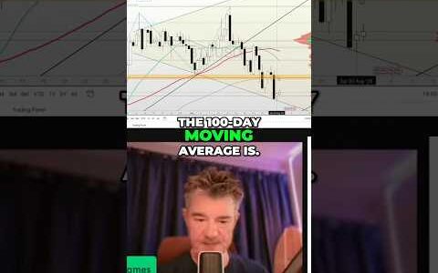 Crypto Bull Run: Spotting Trends & Making Money as a Trader!