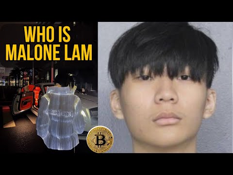 Crypto’s Wildest Heist: The $230 Million Bitcoin Scam