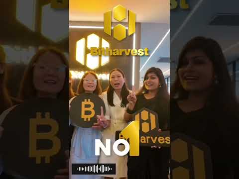 Bitcoin Mining করে প্রতিদিন ৫ ডলার থেকে এক হাজার ডলার ইনকাম