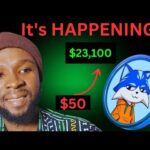 TOSHI CRYPTO HOLDERS | YOU'RE about to QUIT YOUR JOBS!! img_138282_toshi-crypto-holders-you-39-re-about-to-quit-your-jobs.jpg