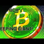 img_138392_bitcoin-cash-the-sleeping-giant-of-crypto-you-can-use-today.jpg