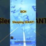 img_138394_bitcoin-cash-the-sleeping-giant-of-crypto-you-can-use-today-bch-bitcoincash.jpg