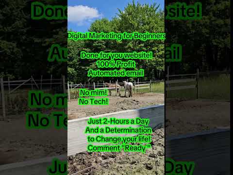 Digital Marketing for Beginners! What you need to make money online! Just 2-Hours a day! Cellphone