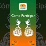 🛒💡 Participa, como comerciante, como visitante. Únete a la comunidad #bitcoin #shorts img_139560_participa-como-comerciante-como-visitante-unete-a-la-comunidad-bitcoin-shorts.jpg